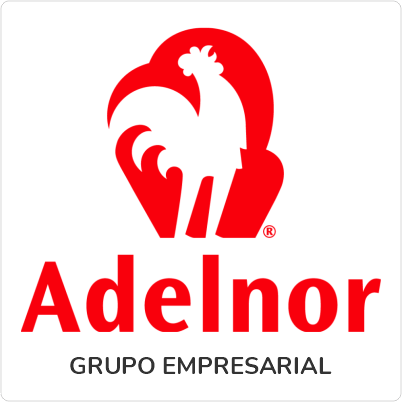 Adelnor Grupo Empresarial