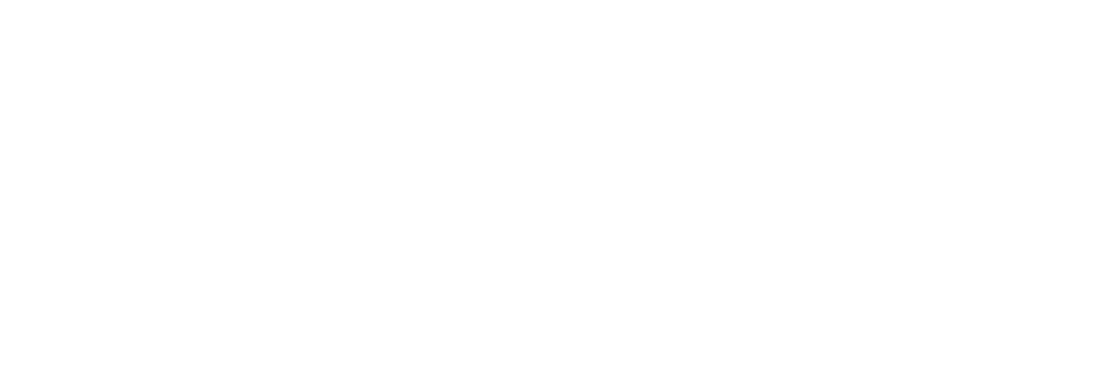 Bisoft - Desarrollo de Software Farmacias - Patner Microsoft